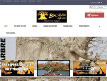 Tablet Screenshot of baobabafrica.com